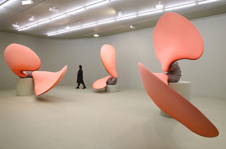 Teresa Solar Abboud. Pájaro sueño de máquina. Centro de Arte Dos de Mayo, Móstoles