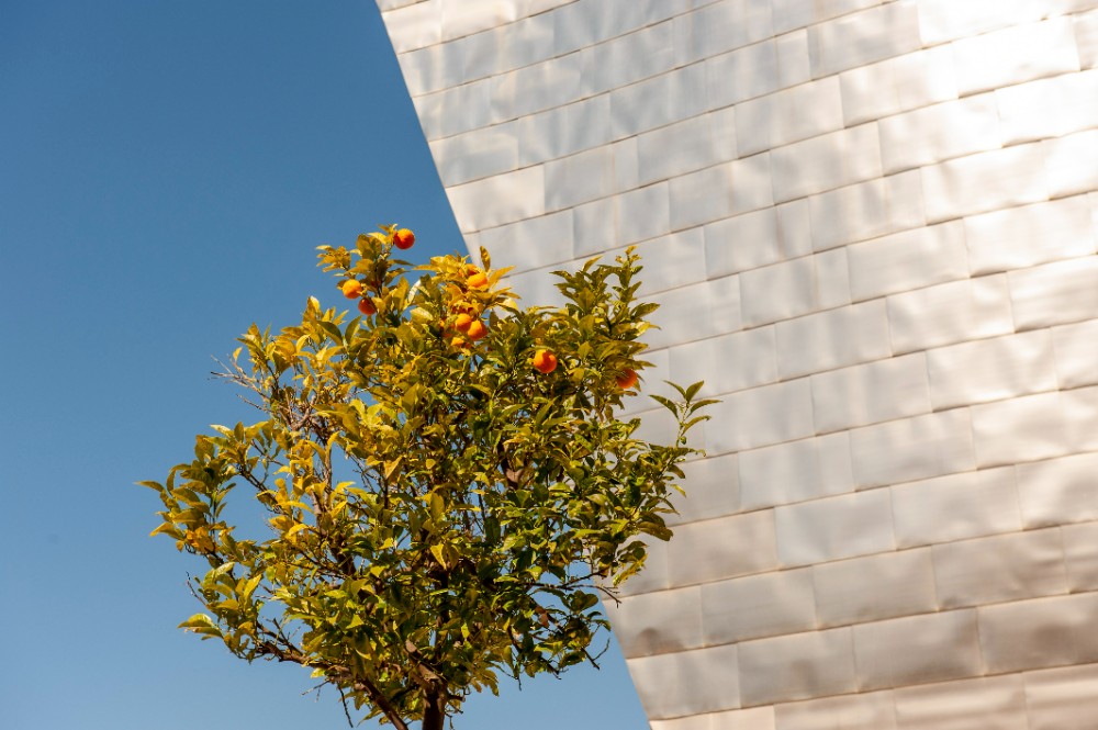 Museo Guggenheim Bilbao