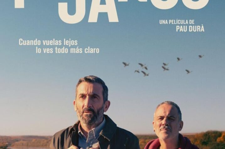 Pájaros. Pau Durà