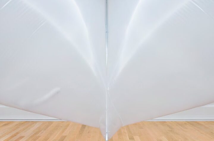 Becas de formación Gondra Barandiarán - Museo de Bellas Artes de Bilbao 2024-2025