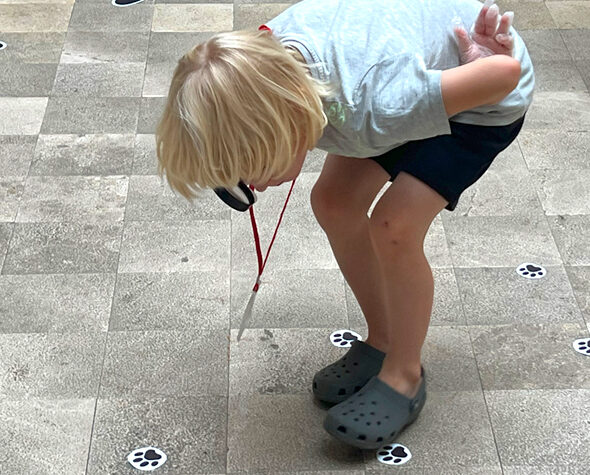 Museo de verano. Curso raro para espías intrépidos. Museo Carmen Thyssen Málaga