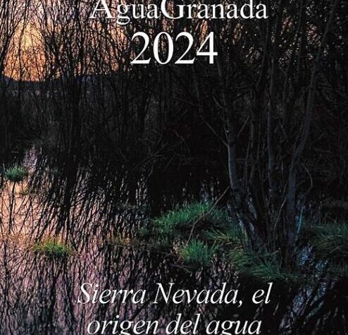 XII Concurso de Fotografía Fundación AguaGranada