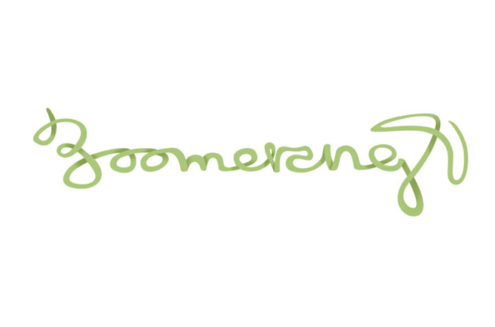 Beca BOOMERANG Universidad Miguel Hernández 2022