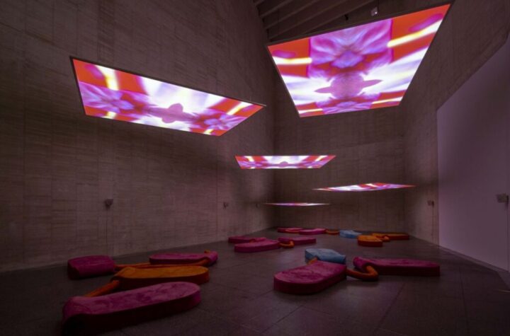 Pipilotti Rist. Colección MUSAC