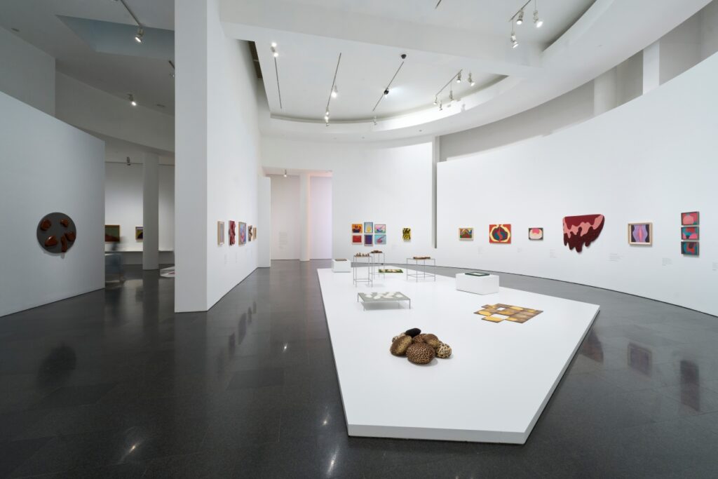 Mari Chordà… y muchas otras cosas. MACBA Barcelona, 2024. Fotografía: Miquel Coll