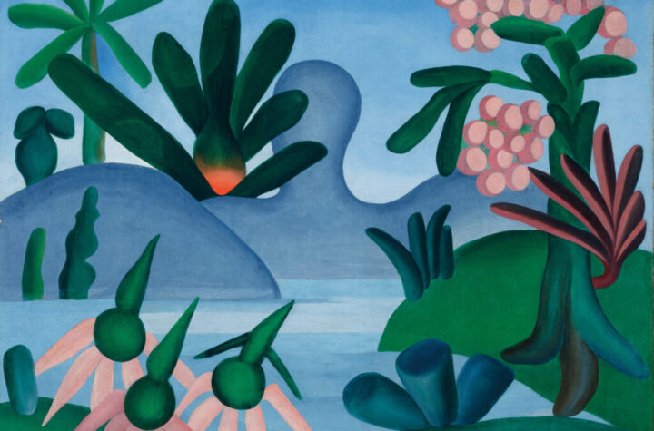 Tarsila do Amaral. O lago, 1928. Hecilda e Sergio Fadel