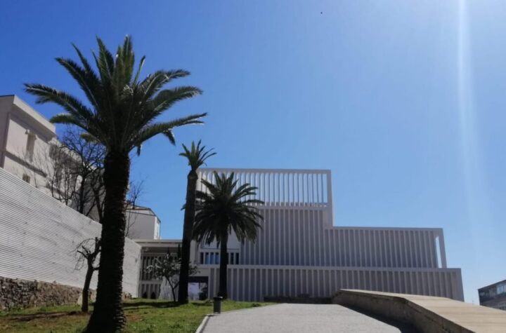 Dirección del Museo Helga de Alvear