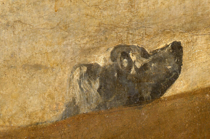 Radiografía de un meteorito. Museo Nacional del Prado