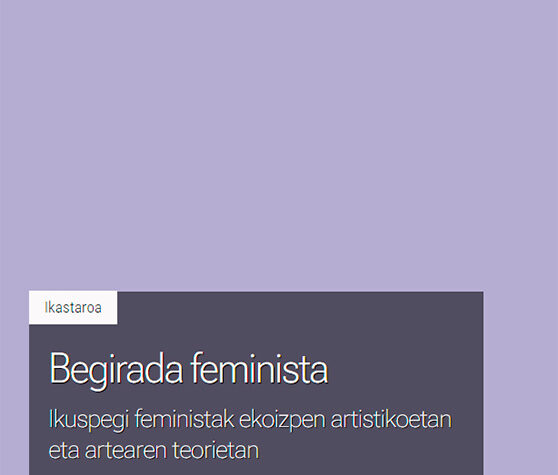 La mirada feminista. Perspectivas feministas en las producciones artísticas y las teorías del arte. Artium Museoa, Museo de Bellas Artes de Bilbao