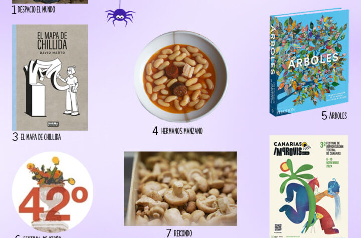 Fuera de menú. Planes e ideas para noviembre 2024
