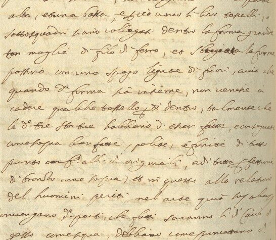 Nel segno del genio. Velázquez en los documentos del Archivio di Stato di Roma