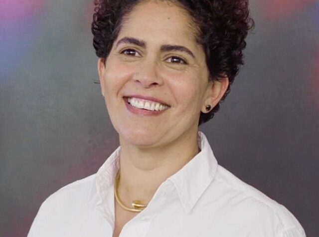 Julie Mehretu, Orden de las Artes y las Letras en Francia