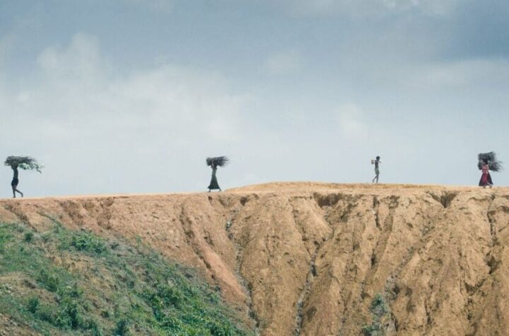 Ai Weiwei. Ciclo de cine. MUSAC León