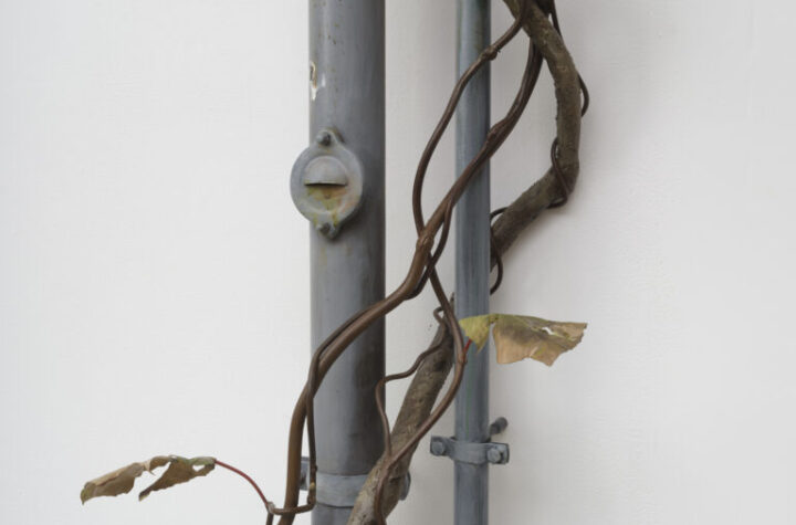 Álvaro Urbano. VEINS, 2024. Galería Travesía Cuatro