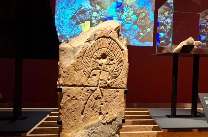 Extremadura, una historia grabada en piedra. Recientes hallazgos arqueológicos. Museo Arqueológico Nacional