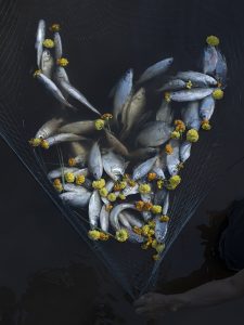 Arguiñe Escandón y Yann Gross. Red, 2019