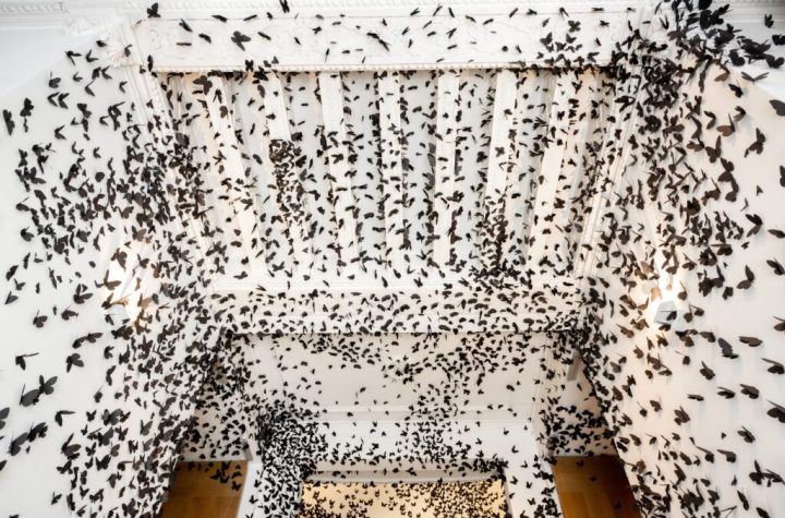 Carlos Amorales. Nube negra. Fundación Casa de México en Madrid