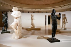 Michel-Ange Rodin. Corps vivants