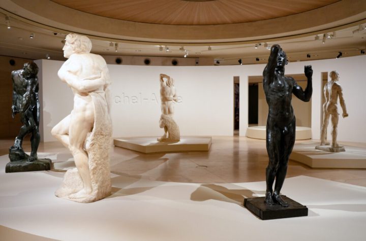 Michel-Ange Rodin. Corps vivants