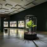 Drift. Yann Gross. La Casa Encendida