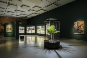 Drift. Yann Gross. La Casa Encendida