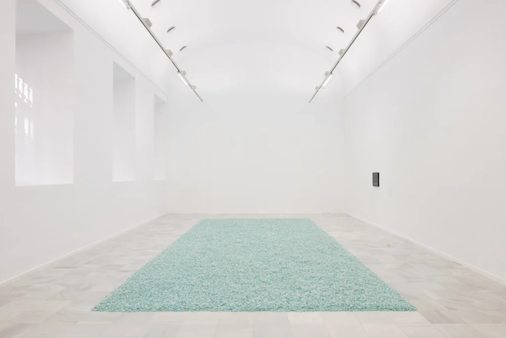 Felix Gonzalez-Torres: Dulce venganza. Museo Reina Sofía, 2026. Fotografía: Roberto Ruiz