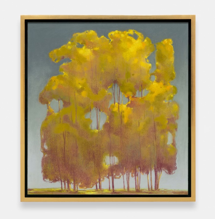 Nicolas Party. Trees, 2026