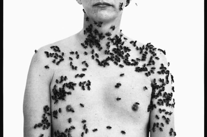 Richard Avedon. Ronald Fischer, beekeeper, Davis, California, May 9, 1981. The Richard Avedon Foundation